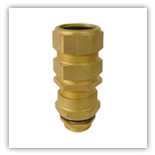 Brass Cable Gland - 1