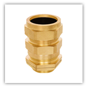 Brass Cable Gland - 16