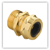 Brass Cable Gland - 4