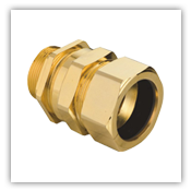 Brass Cable Gland - 8